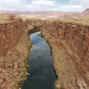 Meet your Posher, Luna